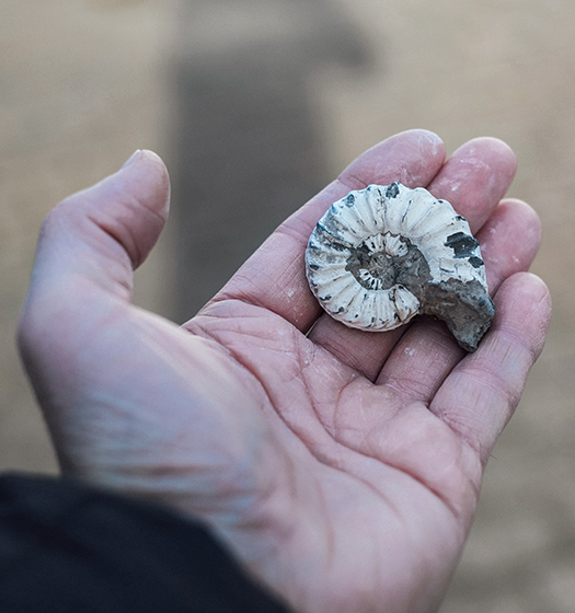 McGill Faculty of Science scientist holding shell to illustrate teaching the next generation