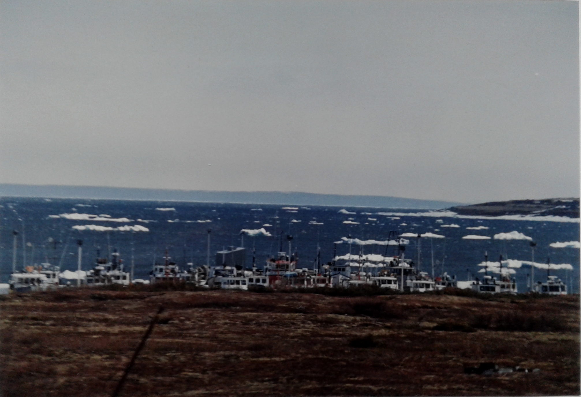 Boats moored in Gulf of Saint-Lawrence near Blanc-Sablon, Quebec
