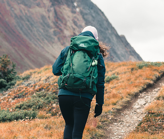 Person with backpack walking away from camera on a mountain