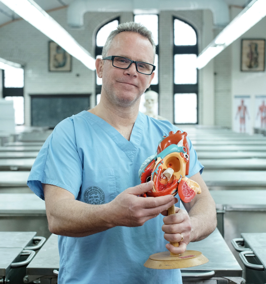 A person in blue scrubs holding a model of a heart