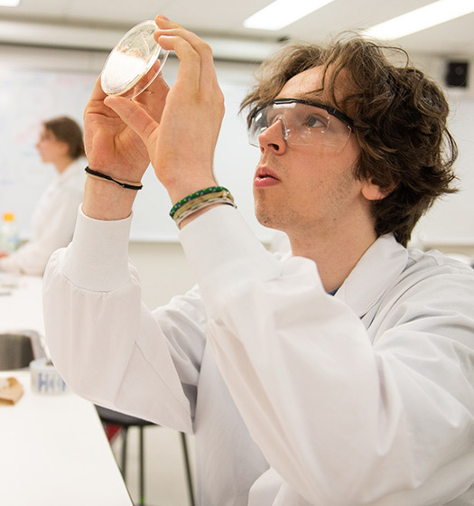 A person in a lab coat holding a petri dish