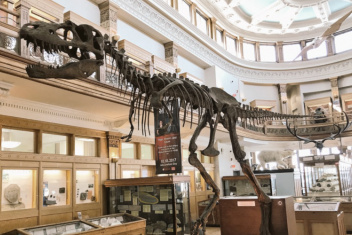Redpath Museum dinosaur