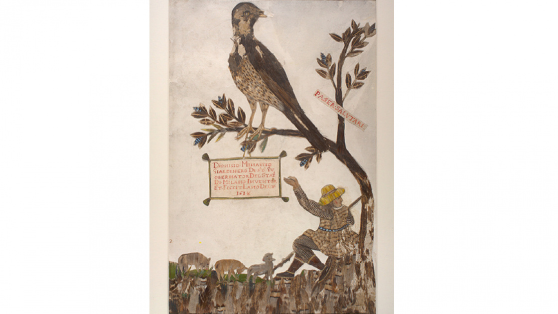 Photo of The Feather Book's cover