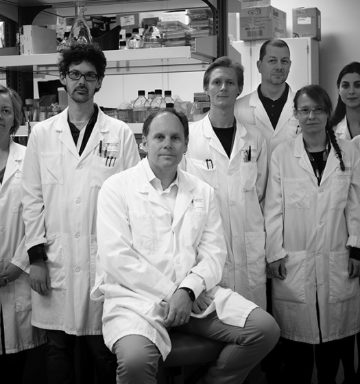 Dr. Don Sheppard and his MI4 team.