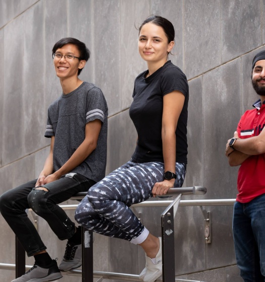 Kirk Lau, Simina Alungulesa, and Arneet Kalra