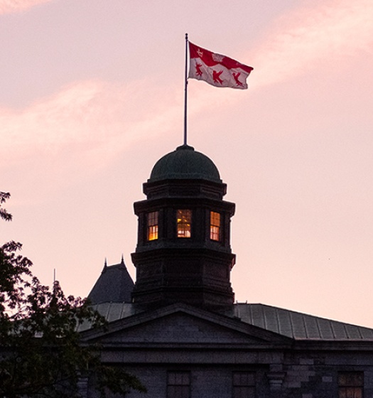 Photo of the McGill Arts building cupola at dusk