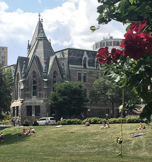 McGill lower field