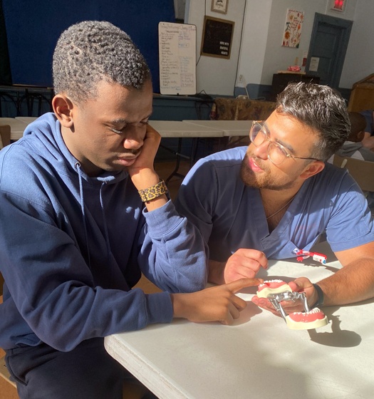 A student sitting at a table with a professor showing him a  teaching model of teeth.