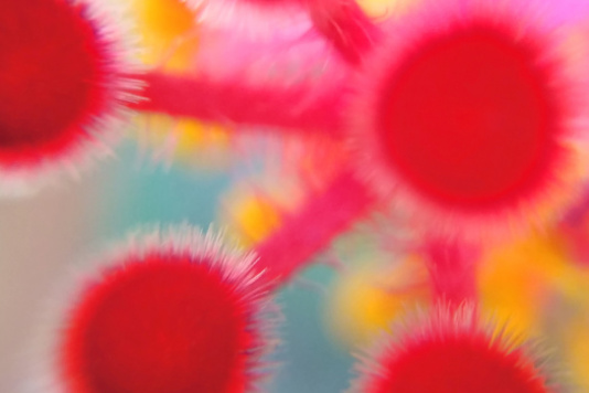 Colorful photo of a cell 